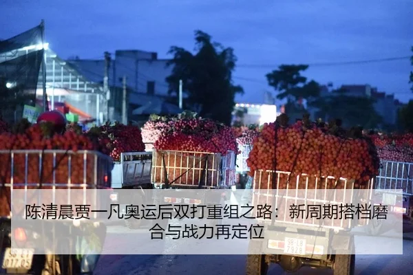 陈清晨贾一凡奥运后双打重组之路：新周期搭档磨合与战力再定位