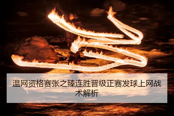 wen-wang-zi-ge-sai-zhang-zhi-zhen-lian-sheng-jin-ji-zheng-sai-fa-qiu-shang-wang-zhan-shu-jie-xi-2-957.jpg